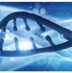 布局加深！华大智造切入&ldquo;时空组学与纳米孔测序&rdquo;高潜赛道