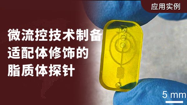 中南大学《SENSOR ACTUAT B-CHEM》：微流控技术制备适配体修饰的脂质体探针用于瞬态三重态差分光声成像