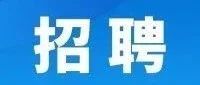 最新招聘！智骅新材料、龙兴新材料、昊坤苏州、三微电子欢迎您的加入