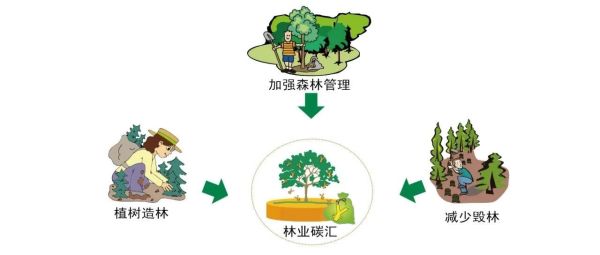 莱森光学：碳储碳汇遥感监测技术方法