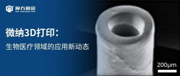 摩方应用|微纳3D打印：在生物医疗领域的应用新动态