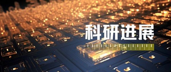 科研进展丨二维半导体柔性中规模集成电路