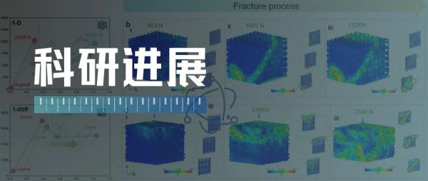 科研进展丨增材制造高强韧金属玻璃仿生结构