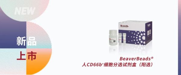 创新突破 | 海狸生物推出全新BeaverBeads&reg; 人CD66b+细胞分选试剂盒（阳选）