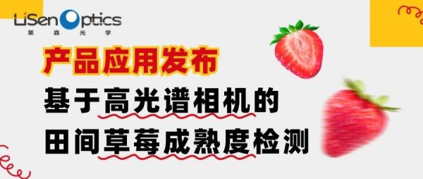 【产品应用发布】基于高光谱相机的田间草莓成熟度检测